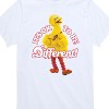 Boys' - Sesame Street - Its Ok To Be Different Short Sleeve Graphic T-Shirt - 2 of 4