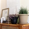 The HC Companies Sierra Round Self-Watering Pot, Plastic Stoneware Planter with Internal Disk for Indoor and Outdoor Plants, 10 Inch, Black Onyx - 3 of 3