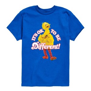 Boys' - Sesame Street - Its Ok To Be Different Short Sleeve Graphic T-Shirt - 1 of 4