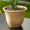 HC Companies Sierra 10 Inch Self Watering Round Plastic Flower Garden Planter Pot Container for Gardening Purposes, Arizona Sand (4 Pack) - 4 of 4