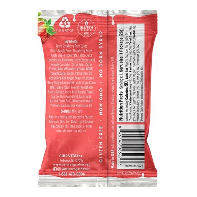 Nature's Garden Snacks Probiotic Yoggies Americana Fruit Snacks Bag - 8.5oz/12ct