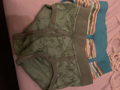 Hanes Toddler Boys Pure Comfort Briefs 10 Pack - TBPUBR – ShirtStop