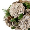 Northlight 5.5" Glittered Pine Needle and Pinecone Hanging Christmas Ball Ornament - image 3 of 4