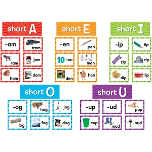 Teacher Created Resources® Short Vowels Pocket Chart Cards, 205 Pieces - 1 of 1