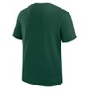 NFL Green Bay Packers Men's Short Sleeve Performance T-Shirt - 3 of 3