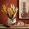 Sullivans Kitschy Brown Owl Ceramic Planter Set of 2, 5.75"H & 3"H Multicolored - 4 of 4