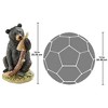 Design Toscano Honey, The Curious Black Bear Cub Statue - 3 of 3