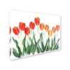 14" x 19" Tulips by Nicky Kumar - Trademark Fine Art - 2 of 4