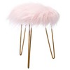 BirdRock Home Round Faux Fur Foot Stool Ottoman - Pink with Pale Gold Legs - 2 of 3