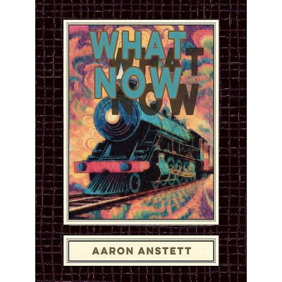 What Now - by  Aaron Anstett (Paperback)