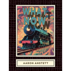 What Now - by  Aaron Anstett (Paperback) - 1 of 1