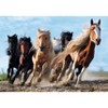 Trefl Galloping Horses Jigsaw Puzzle - 1000pc - 3 of 3