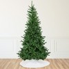 Northlight Winona Fir Artificial Christmas Tree - 9.5' - Unlit - 2 of 4