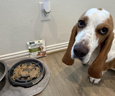 Guest review image 1 of 1, zoom in