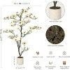 Faux Southern Magnolia Plant Yellow Flowered Magnolia, Artificial Magnolia Tree Inc. Realist Touch Flowers Vivid Leaves White Pot Dry Moss - 3 of 4