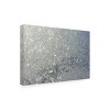 Trademark Fine Art - Kurt Shaffer 'Frost Pattern Sun Stars' - 3 of 4