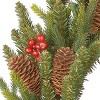 24" Prelit LED Battery Operated Dorchester Fir Wreath White Lights - National Tree Company - 3 of 4