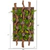 Nearly Natural 41-in x 19-in Mixed Succulent Artificial Living Wall - 2 of 2
