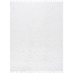 Moroccan Tassel Shag MTS688 Non-Shedding Power Loomed Indoor Rugs - Safavieh - 1 of 4