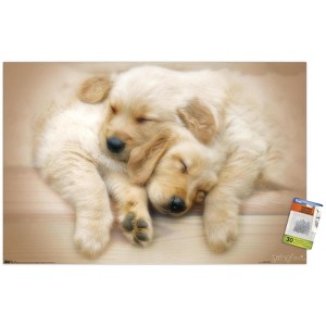 Trends International Keith Kimberlin - Puppies - Golden Retrievers Cuddling Unframed Wall Poster Prints - 1 of 4