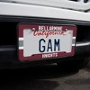 Bellarmine University Stripe License Plate Tag Frame - 2 of 4