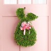 The Lakeside Collection Faux Boxwood Bunny Door Hanger - 2 of 4