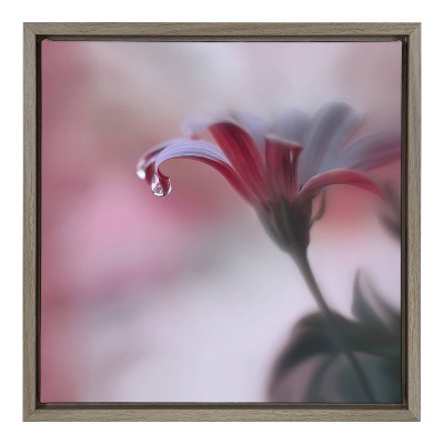 22" x 22" Invisible Touch Framed Canvas Wall Art - Amanti Art