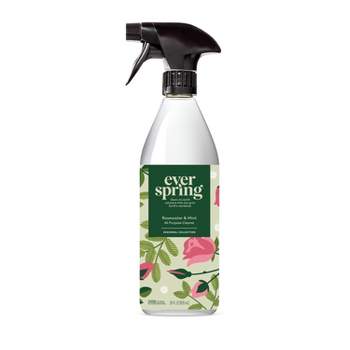 Rosewater & Mint All-Purpose Cleaner - 28 fl oz - Everspring™