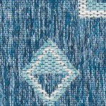 navy/aqua