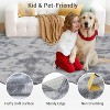 Fluffy Area Rug- Shag Area Rug for Living Room, Shaggy Large Indoor Thick Living Room Carpet with Non-Slip Backing, Soft Plush Carpet - 4 of 4