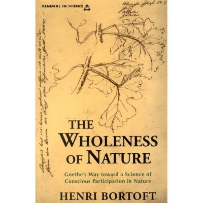 The Wholeness of Nature - (Renewal in Science) by  Henri Bortoft (Paperback)