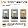 Mid-century Vintage Nightstand Table Lamp 3 Colors Desk Lamp Gold Accents Base - 3 of 4