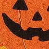 cat & pumpkin