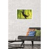 Trends International The Comedy Wildlife Photography Awards: Otter Kwek - Ballerina Framed Wall Poster Prints - 2 of 4