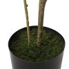 GlasFlength Artificial Plants Artificial Rubber Tree Artificial Pieris Tree Faux Plants for Indoor Home Decor, Green, 19.7"*19.7"*47.2" - 3 of 4