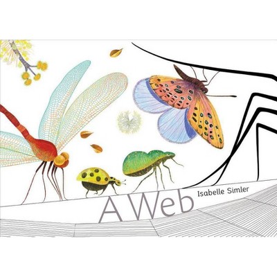 A Web - (Hardcover)