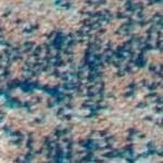 blue/beige
