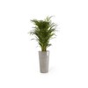 Ecopots Amsterdam Mid High Durable Modern Round Indoor/Outdoor Recycled-Based Composite Flower Pot Planter - 4 of 4