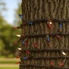 Novelty Lights 50 Feet 100 Bulbs Incandescent Mini Lights, Brown Wire with 6" Spacing, UL Listed for Indoor/Outdoor Use, Connectable - 3 of 4