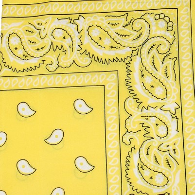 paisley yellow