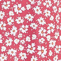 pink chrysanthemum