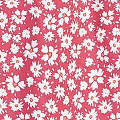 pink chrysanthemum
