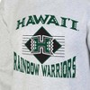 NCAA Hawaii Rainbow Warriors Men's Crew Neck Fleece Ash Sweatshirt - 3 of 3