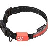 Touchdog Lumiglow 2-in-1 USB Charging LED Lighting Water-Resistant Dog Leash and Collar - 2 of 4