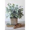 Artificial Sage Bush in a Square Pot – 12" Decorative Faux Greenery Accent for Home or Office Decor by Kalalou - 2 of 3