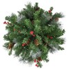 Northlight Pre-Lit LED Frosted Pinecones and Berries Christmas Urn Filler Garden Stake - 20" - 3 of 4