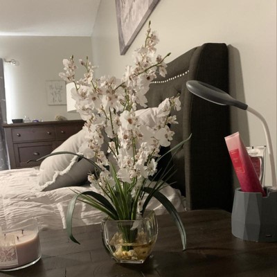 Guest review image 2 of 2, zoom in
