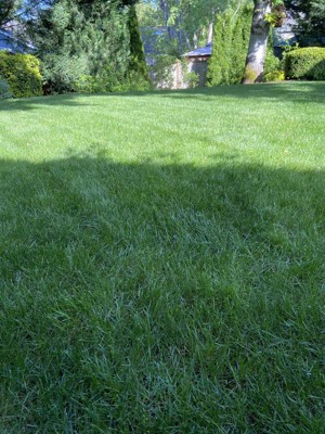 Guest review image 1 of 3, zoom in