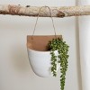 Wall Pocket White Terracotta & Jute by Foreside Home & Garden - 2 of 4