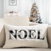 14"x24" Oversized Noel Embroidered Lumbar Throw Pillow Ivory - Evergrace - 4 of 4